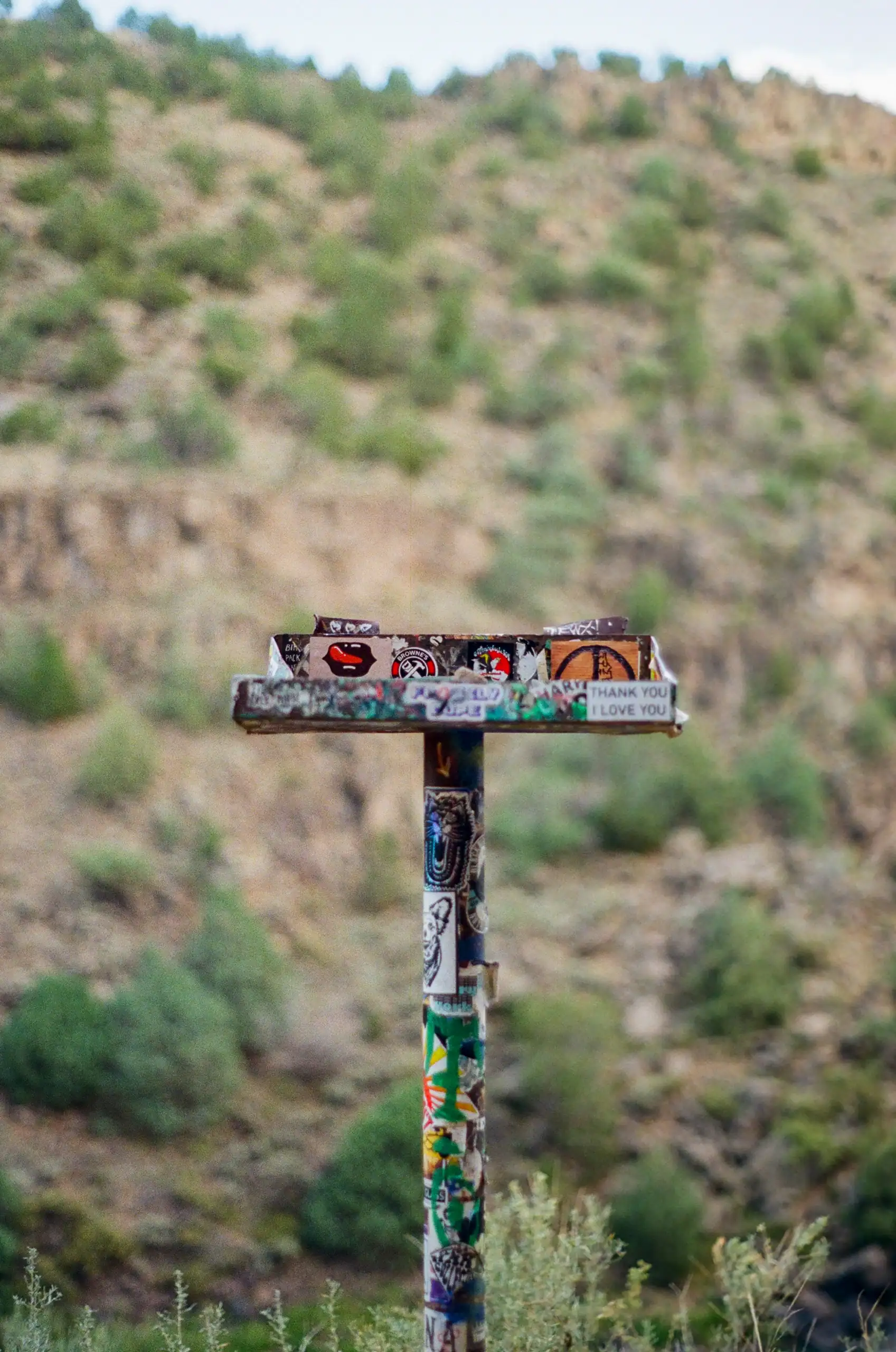 Vivid graffiti art on a signpost set against a scenic desert hillside with sparse vegetation.