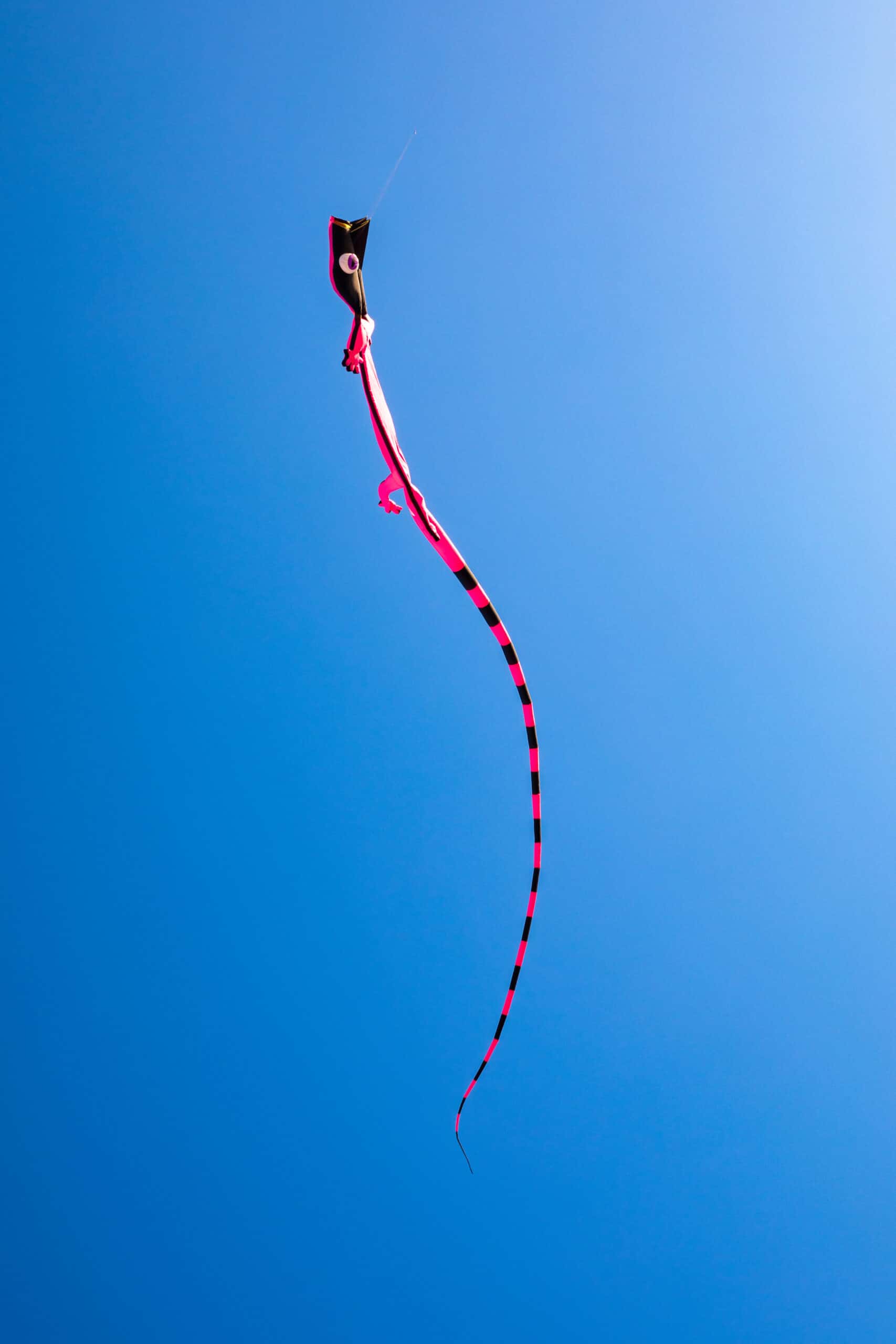 Colorful kite soaring high in a bright blue sky during a sunny day.